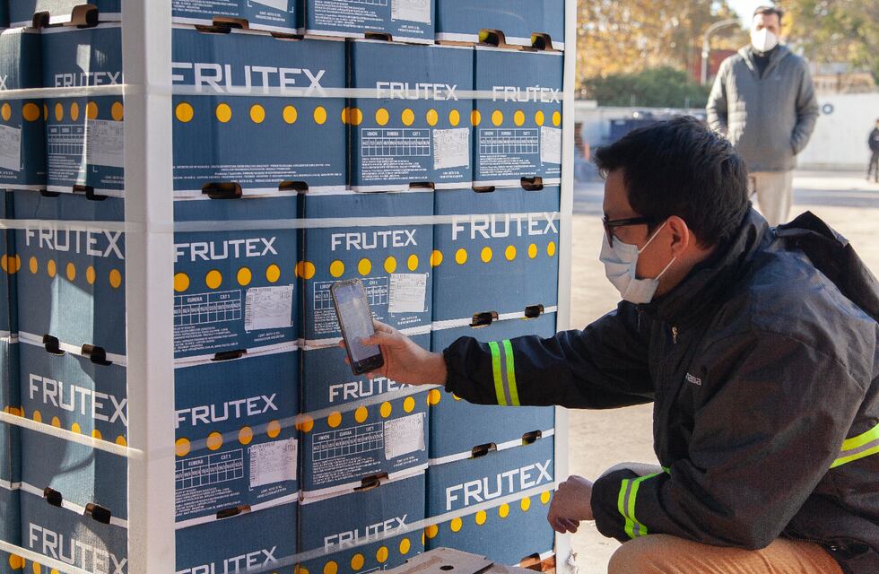 Un resumen de la campaña del limón y otros cítricos dulces