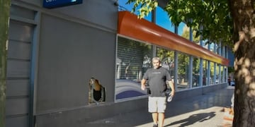 Hicieron un boquete en un local de Cetrogar en pleno centro de San Luis y se llevaron celulares y computadoras valuados en 9 millones de pesos.