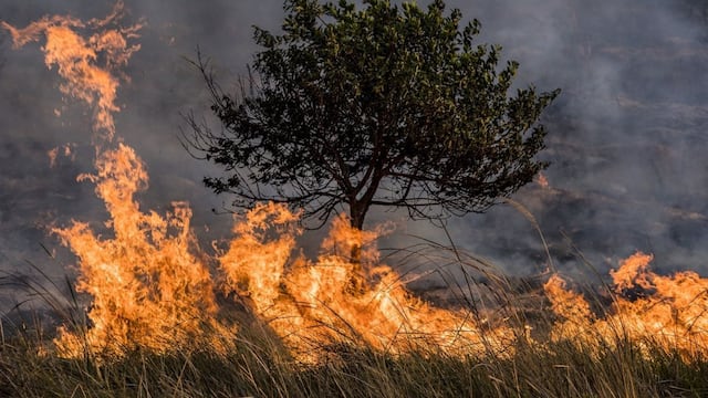 Incendios Gualeguaychú