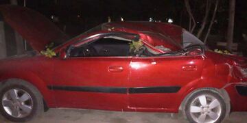 Así quedó el automóvil que aplató el árbol en San Rafael.