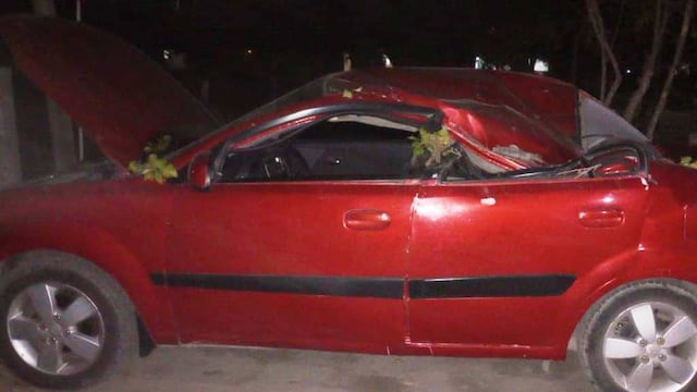 Así quedó el automóvil que aplató el árbol en San Rafael.