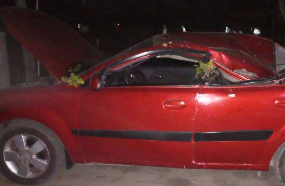 Se salvó de milagro: el Zonda tiró una enorme planta y aplastó un auto con el conductor dentro