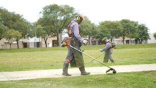 Desmalezado en Rafaela