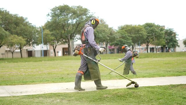 Desmalezado en Rafaela