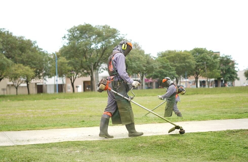 La Municipalidad afirma que el área de Espacios Verdes crece “a pasos agigantados”