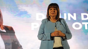 Patricia Bullrich volvió a afirmar que "el que corta no cobra". Foto: Federico López Claro