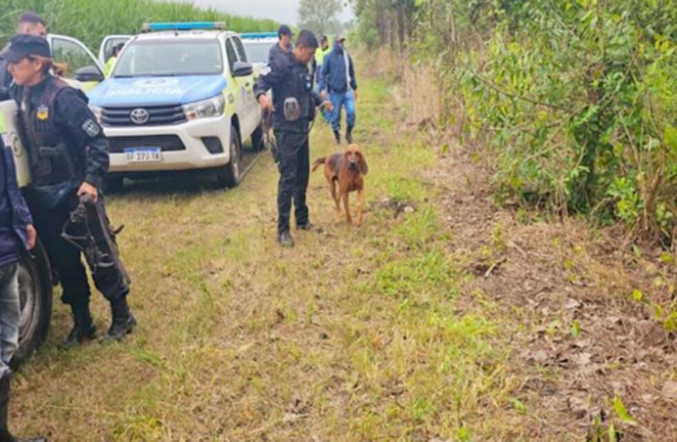 Sobreviviendo 50 noches en un limonar