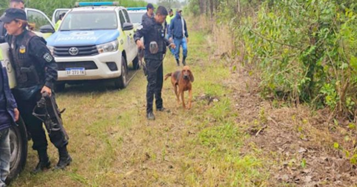 Sobreviviendo 50 noches en un limonar
