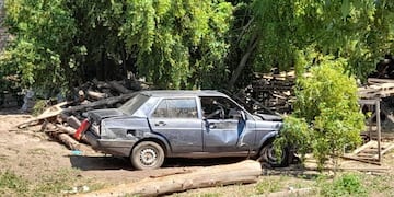 VW Senda chocó contra una pila de palos y leña en General Alvear. Gentileza Fm Viñas.