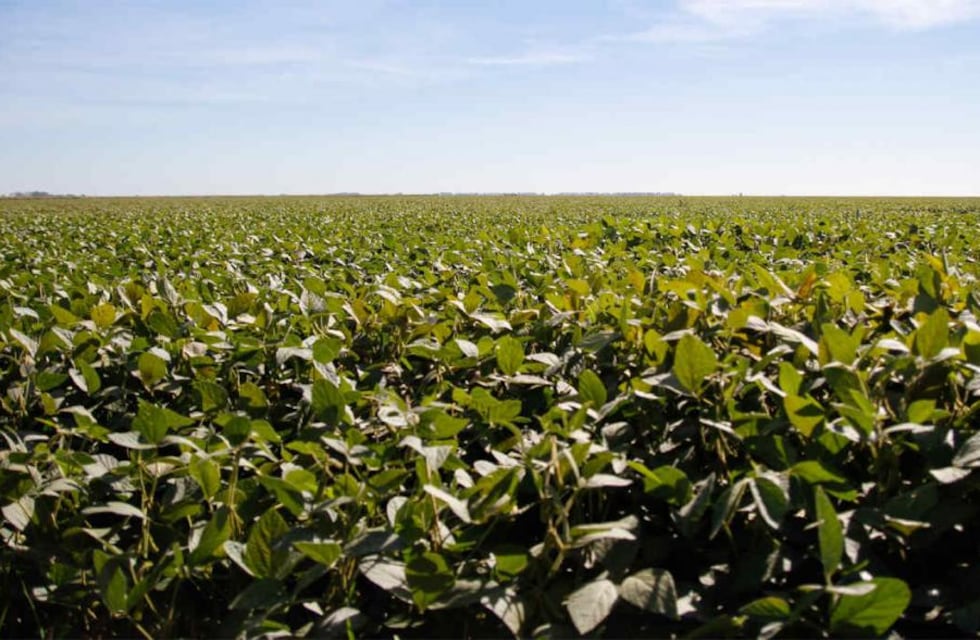 La Sociedad Rural de Rafaela quiere que al campo le saquen las retenciones y bajar los impuestos