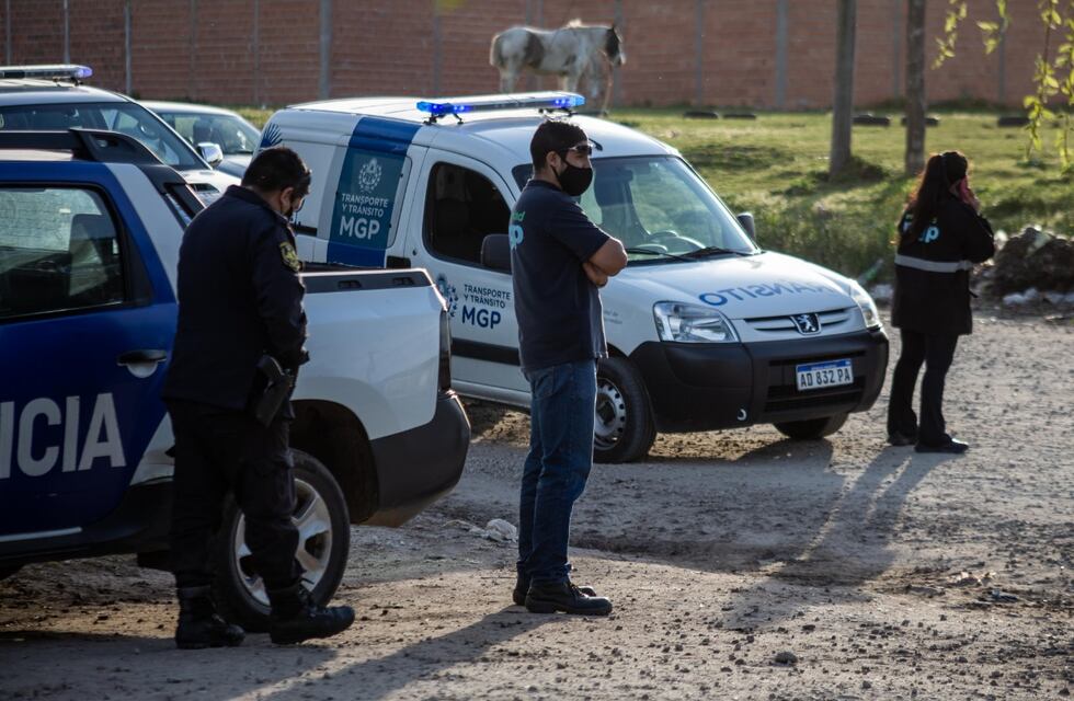 El Municipio intervino en más de 100 casos por caballos sueltos en la vía pública