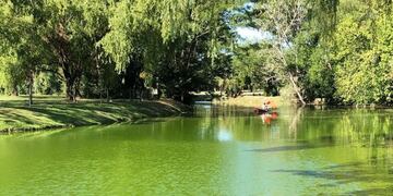 El arroyo se puso verde