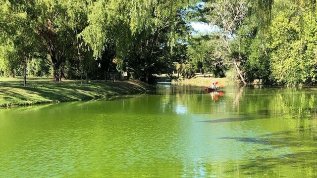 El arroyo se puso verde