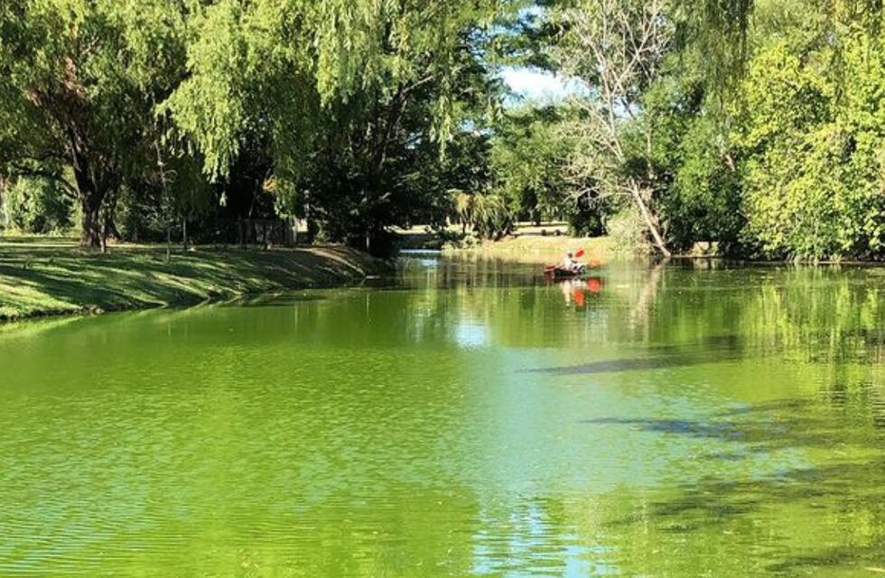 ¿Por qué se puso verde el agua del arroyo?