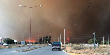 Las llamas arrasaron con todo en la Comarca Andina.