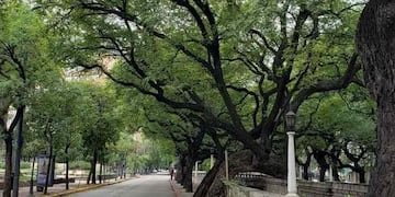 Para este sábado se espera tiempo húmedo e inestable en Córdoba. (La Voz / Archivo)