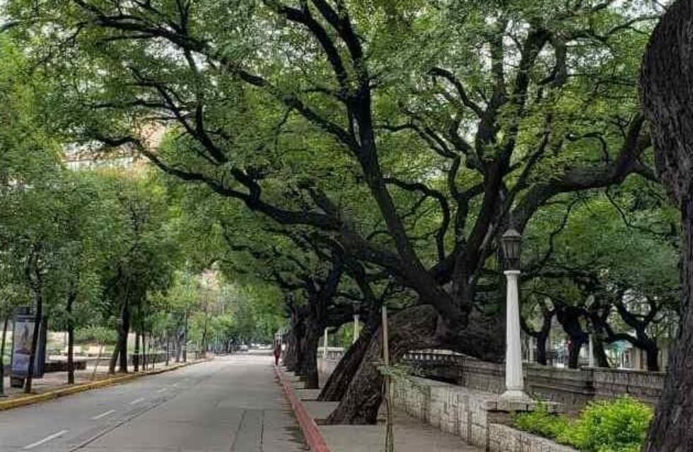 El clima en Córdoba: cómo estará el tiempo el fin de semana