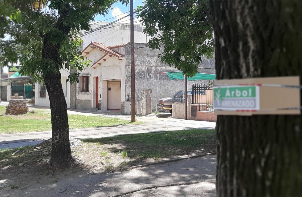 Bulevar Racedo: la justicia le frena la obra al municipio