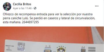 Ofrecen una entrada para ver a la Selección para encontrar a su mascota