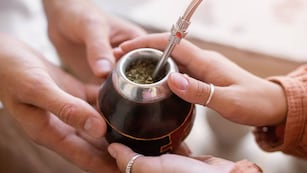 El Festival Nacional del Mate empieza en Córdoba. (Freepik)