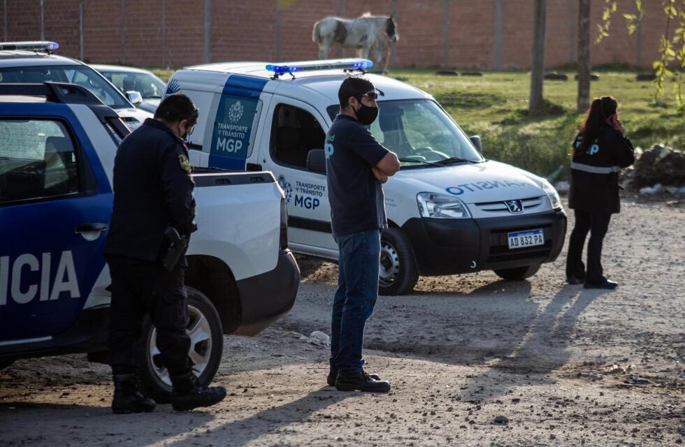 El Municipio desarrolla nuevas estrategias para evitar caballos sueltos en vía pública