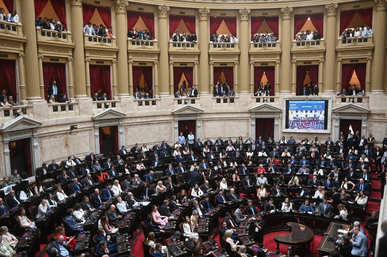 Los diputados electos juraron este miércoles 3 de diciembre en el Congreso Nacional. (Clarín / Federico López Claro)