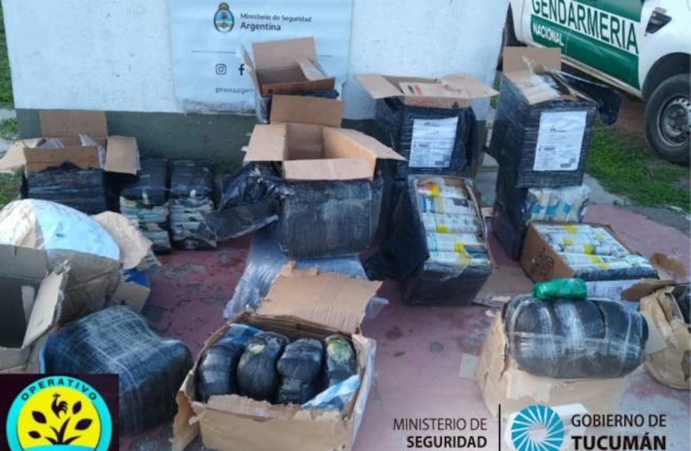 Operativo Lapacho: secuestraron 180 kilos de hojas de coca en un puesto de control
