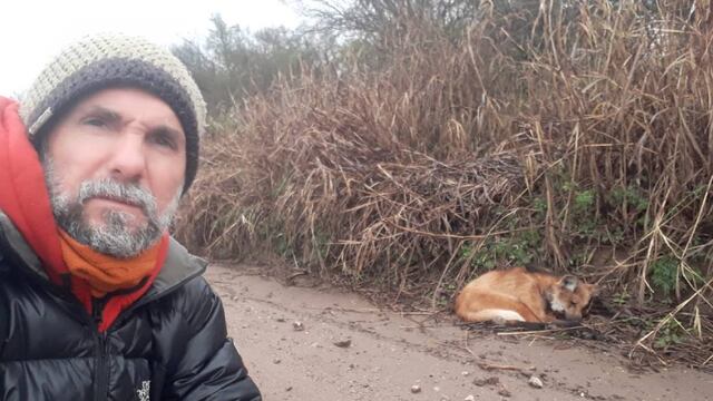 AGUARÁ GUAZÚ. En Sierras Chicas avistan un ejemplar de esta especie en peligro de extinción. (Guillermo Galliano)