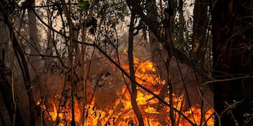 Un panorama desolador: las imágenes que retratan los incendios en los Esteros del Iberá. (Emilio White)