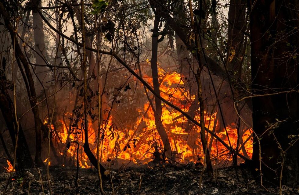 El fuego en los Esteros del Iberá se habría iniciado por la chispa de un tractor
