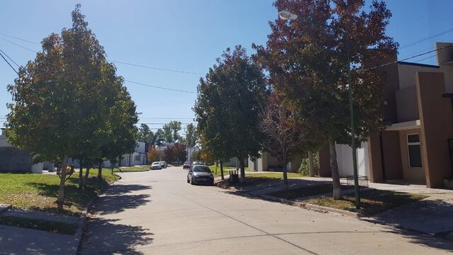 Finalizó un nuevo relevamiento del arbolado público