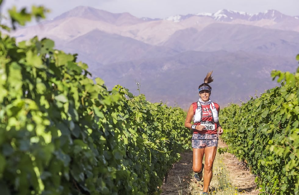 Rivera Run Experience: el trail running y enoturismo será entre viñedos del Valle de Uco