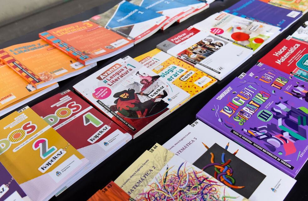 Más de 65.000 libros llegaron a Jujuy para 209 escuelas secundarias públicas