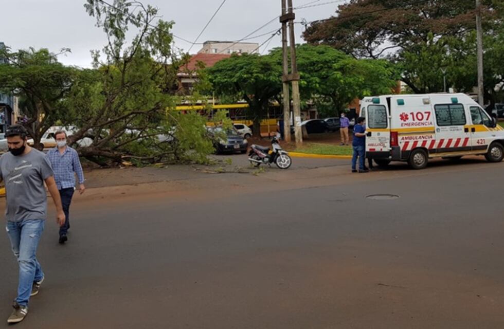 Un árbol hirió a una mujer que circulaba a bordo de su motocicleta