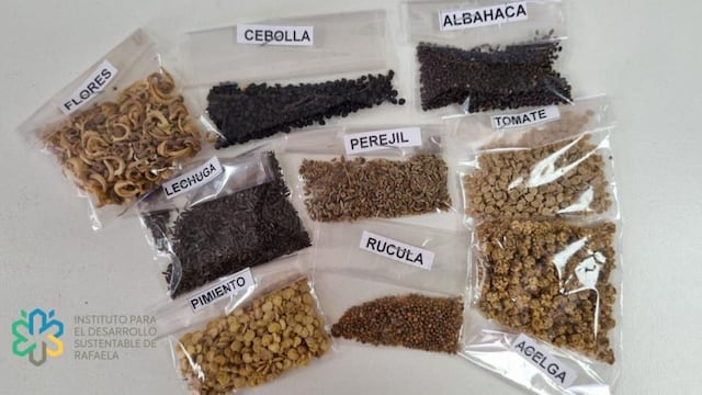Entregan semillas a vecinos de Rafaela