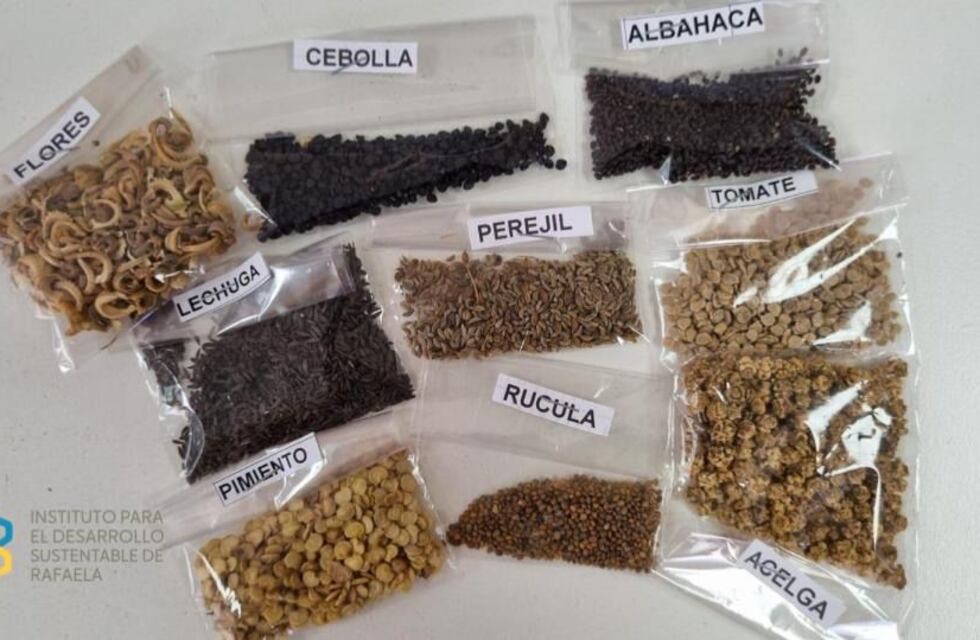 Entrega de semillas para la temporada primavera-verano