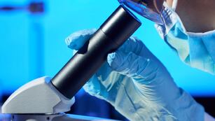 Los casos de Covid crecieron en las últimas seis semanas. Foto: Gentileza.