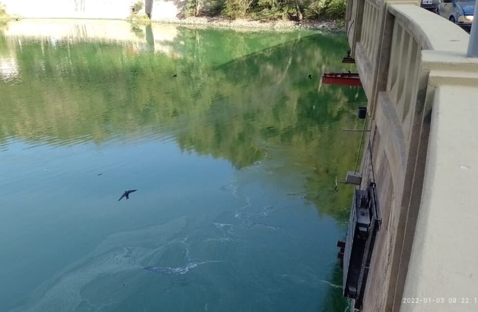 Lago San Roque: siguen las tareas de remoción de algas en el embudo