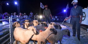 Participaron cinco cabañas  que presentaron 165 ovinos, 39 caprinos y cinco equinos.