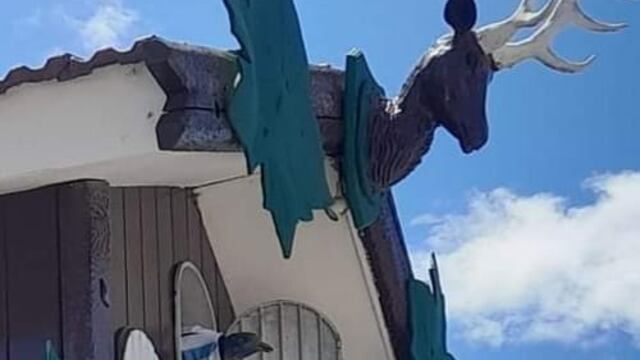 Los turistas sorprendidos por el Cucú mundialista.