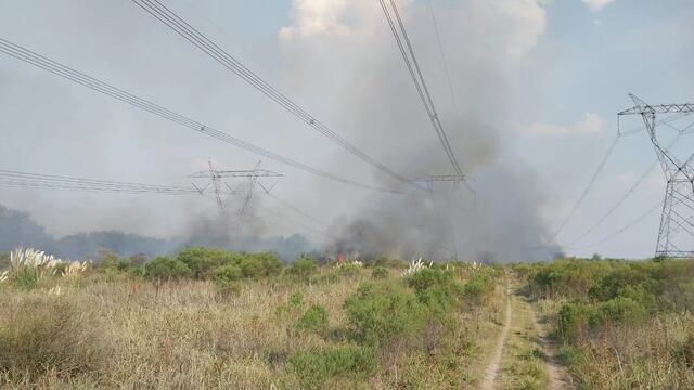 Un incendio de campos en zona de torres de alta tensión provocó el apagón eléctrico que dejó sin luz a la mitad del país.