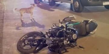 El peatón atropellado sufrió una fractura expuesta en su pierna derecha.