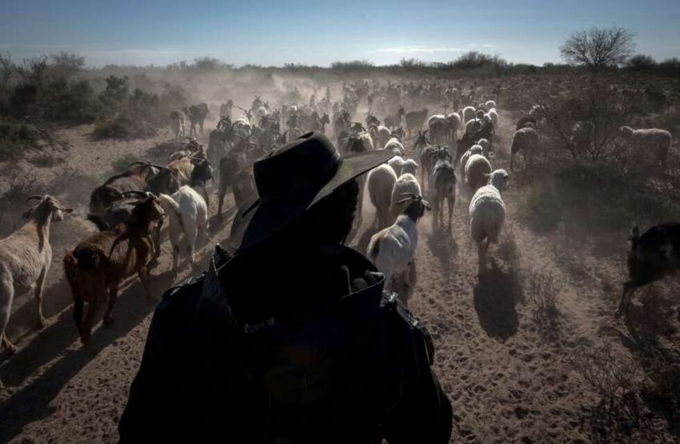 Declararon la emergencia agropecuaria en Mendoza