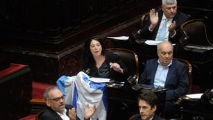 Apoyo a Israel en Diputados. Foto: Federico lopez claro