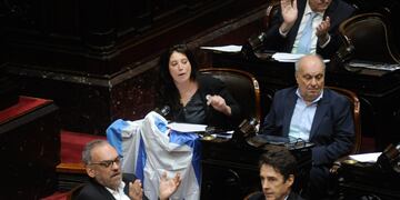 Apoyo a Israel en Diputados. Foto: Federico lopez claro