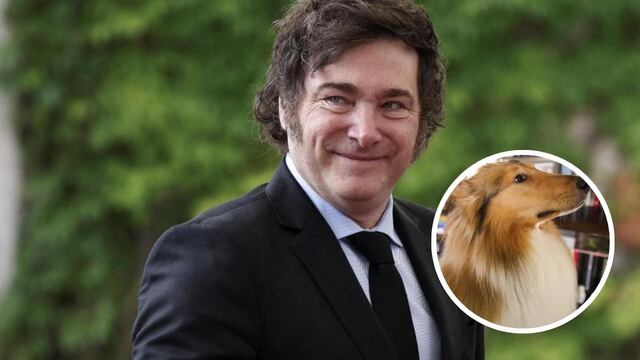 Tras ser imputado, Javier Milei le ofreció a Alberto Fernández cuidar a su perro Dylan