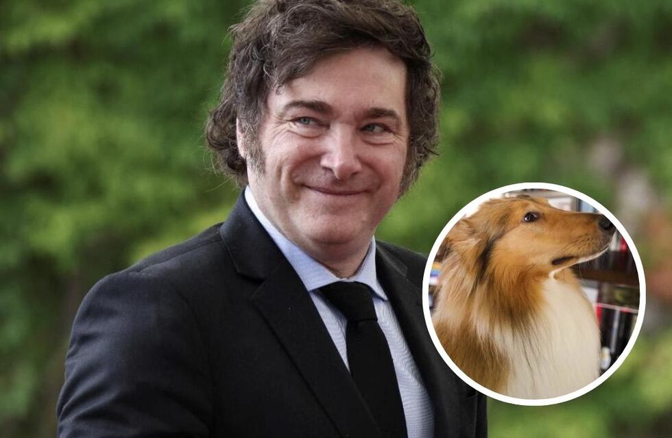 Tras ser imputado, Javier Milei le ofreció a Alberto Fernández cuidar a su perro Dylan