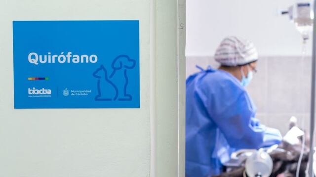 Nuevos horarios para las castraciones gratuitas en Córdoba.