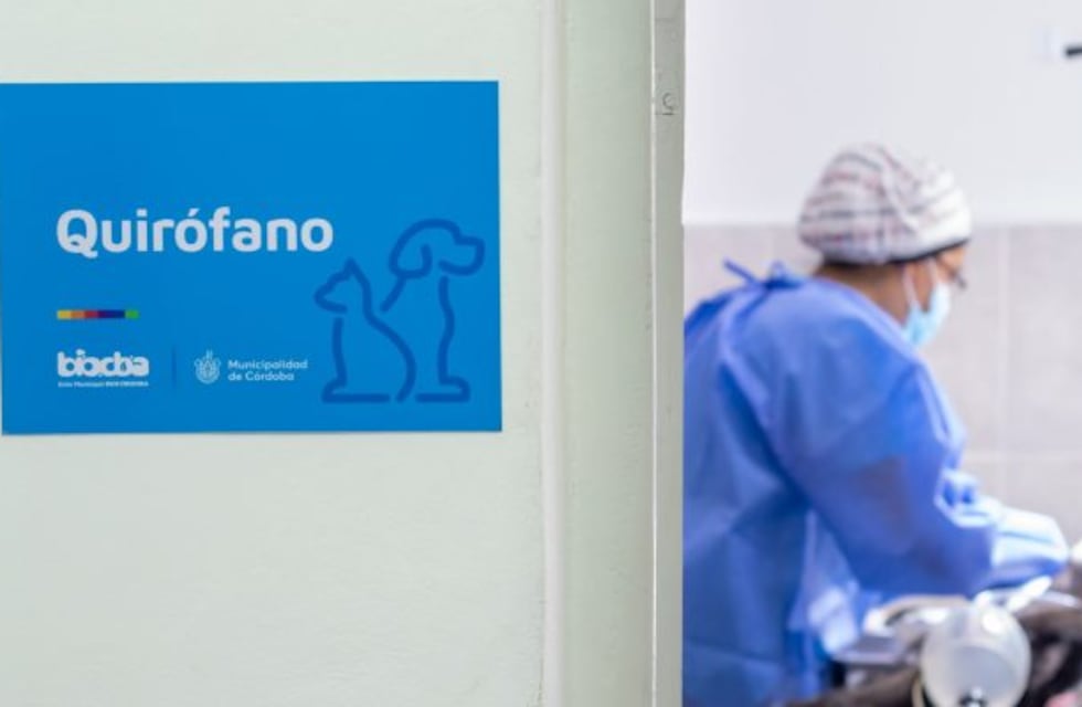 La Municipalidad de Córdoba habilitó nuevos horarios para castraciones de mascotas