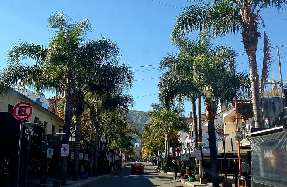 Atraparon a un ladrón que le robó la cartera a una mujer en Carlos Paz